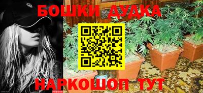 крисы Абинск